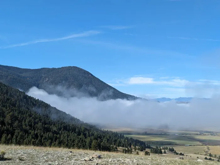 Curtis Canyon Campground Picture 3