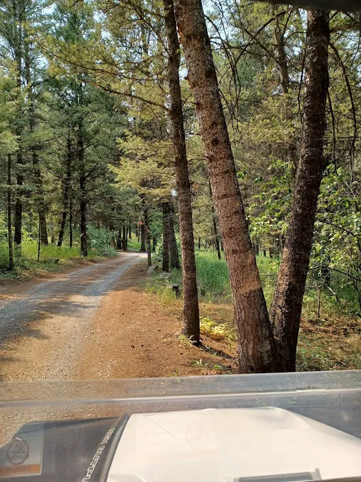 Curtis Canyon Campground Picture 2