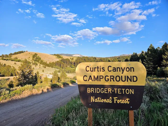 Curtis Canyon Campground Picture 4