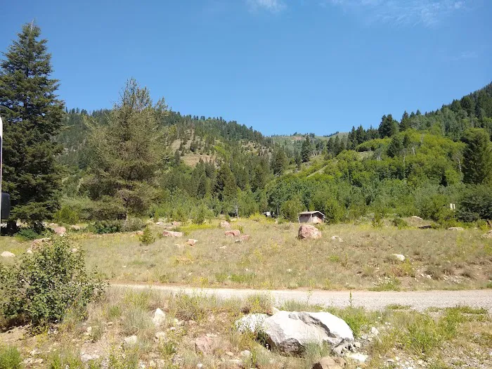 Wolf Creek Campground Picture 10