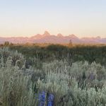 Badger Creek Camp