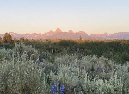 Badger Creek Camp