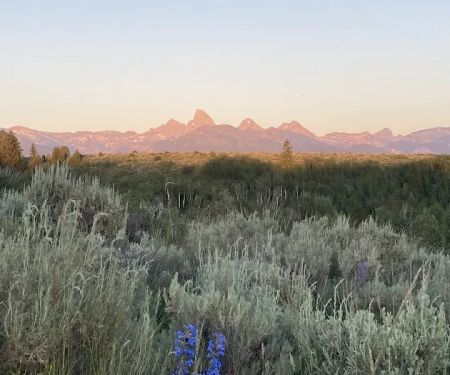 Badger Creek Camp