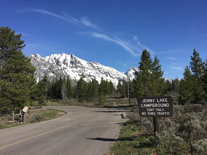 Jenny Lake Campground Picture 8