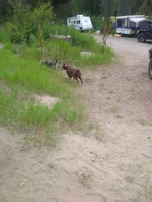 Station Creek Campground Picture 3