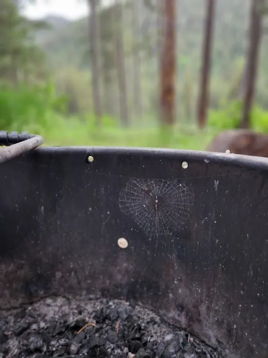 Station Creek Campground Picture 7