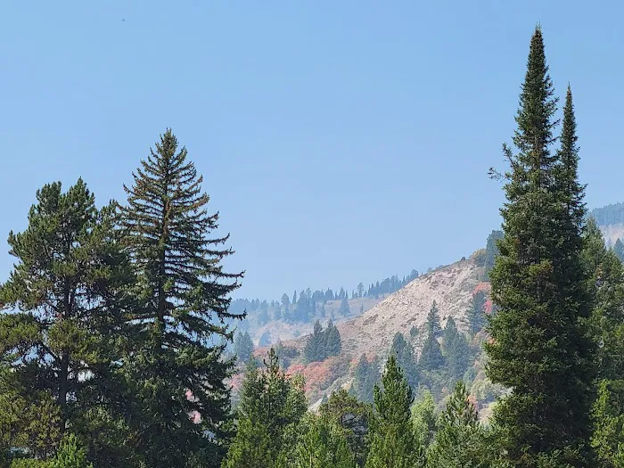 Station Creek Campground Picture 9