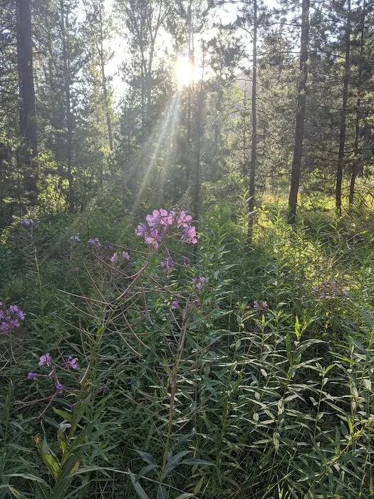East Table Creek Campground Picture 4