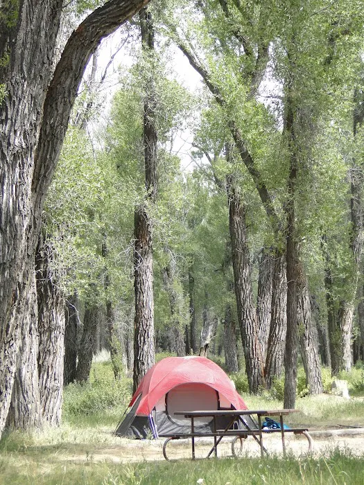 Gros Ventre Campground Picture 8