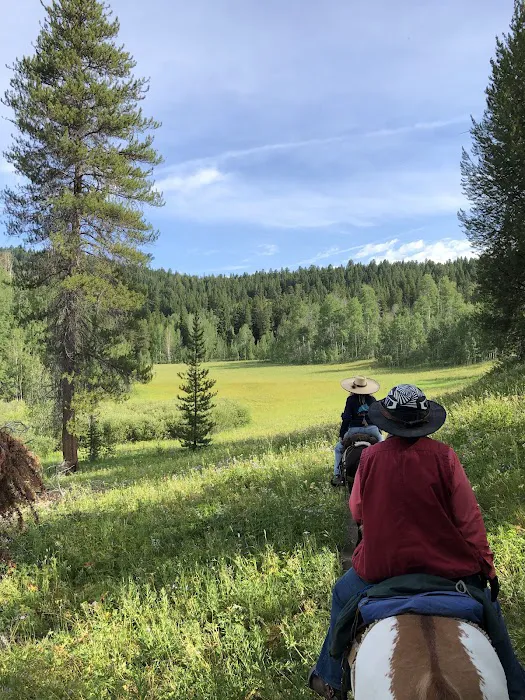 Turpin Meadow Campground Picture 4