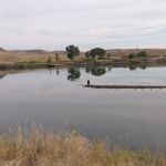 Afterbay South Campground