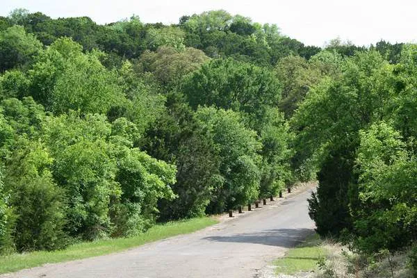 Thousand Trails Lake Whitney Picture 7