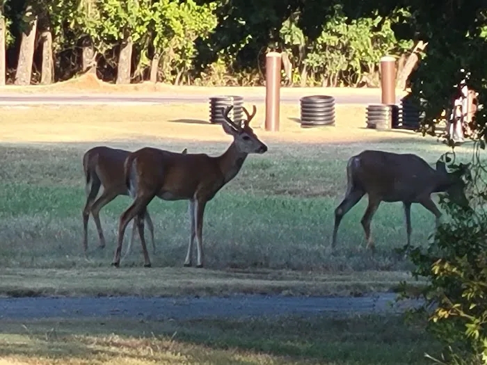 Hickory Creek Campground Picture 1