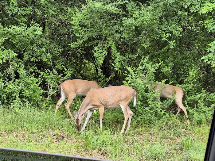 Hickory Creek Park Picture 5