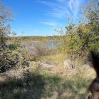 Bluestem Grove Equestrian Camping ico