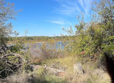 Bluestem Grove Equestrian Camping