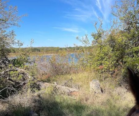 Bluestem Grove Equestrian Camping