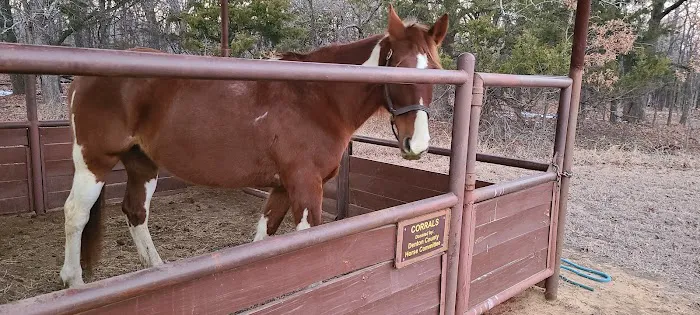 Bluestem Grove Equestrian Camping Picture 8
