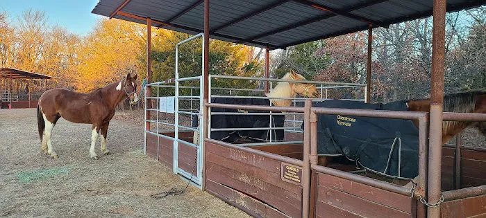 Bluestem Grove Equestrian Camping Picture 4