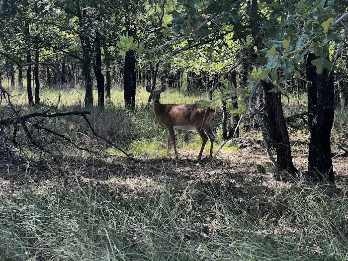 Deer Ridge Camping Loop Picture 2