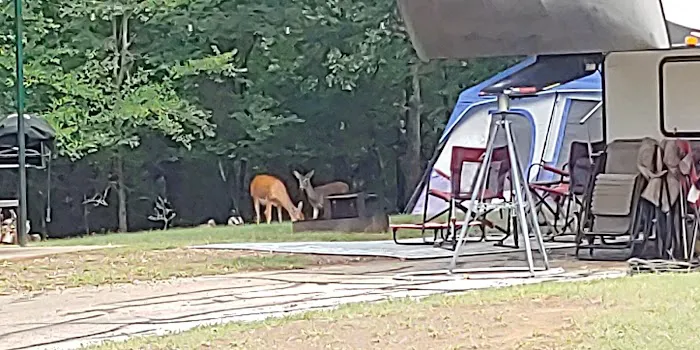 Hickory Creek COE Campground Picture 10