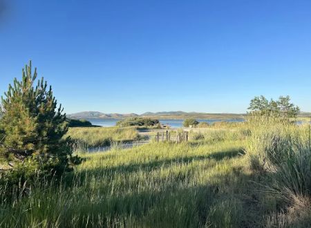 Blackfoot Reservoir Campground