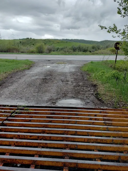 Tincup Campground Picture 1