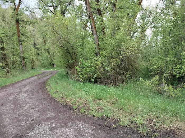 Tincup Campground Picture 3