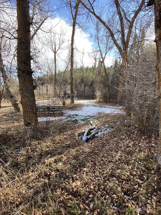 Tincup Campground Picture 6