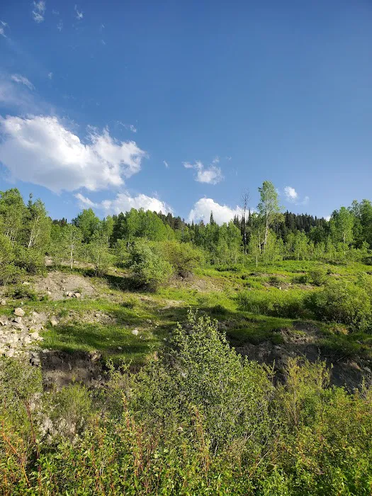 Tincup Campground Picture 9