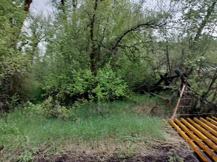 Tincup Campground Picture 5
