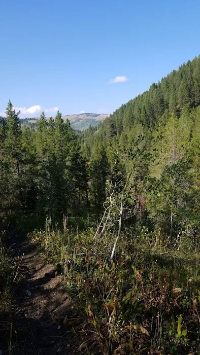 Pine Bar Campground Picture 5