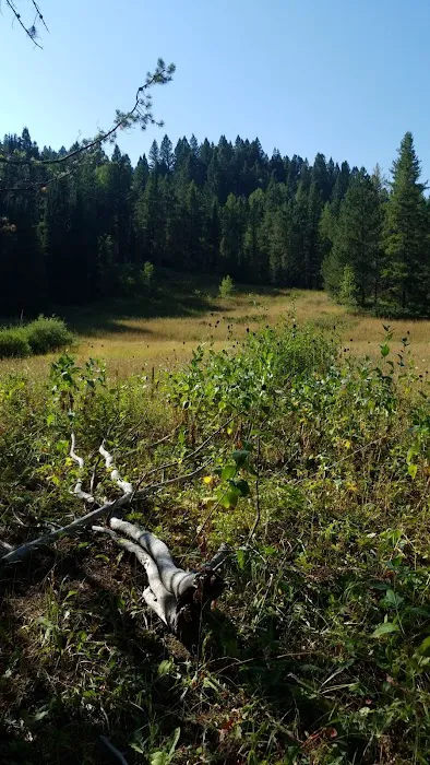 Pine Bar Campground Picture 3
