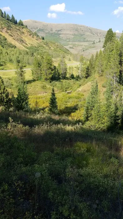Pine Bar Campground Picture 4