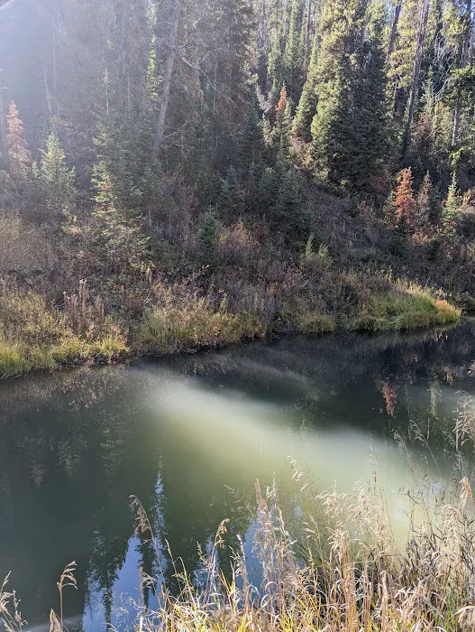 Pine Bar Campground Picture 1
