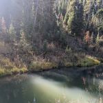 Pine Bar Campground