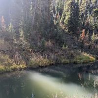 Pine Bar Campground ico