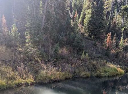 Pine Bar Campground