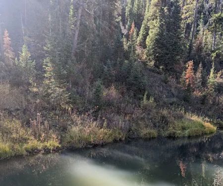 Pine Bar Campground
