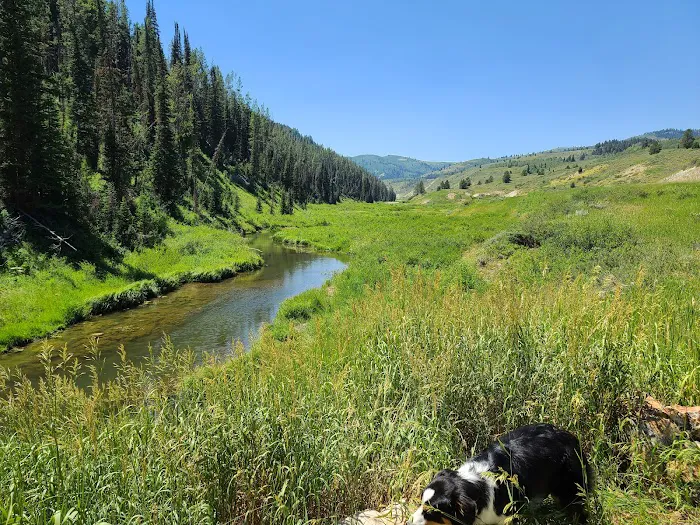 Pine Bar Campground Picture 9