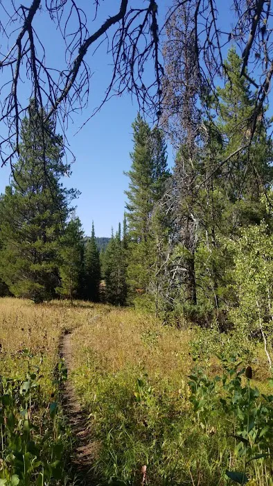 Pine Bar Campground Picture 8