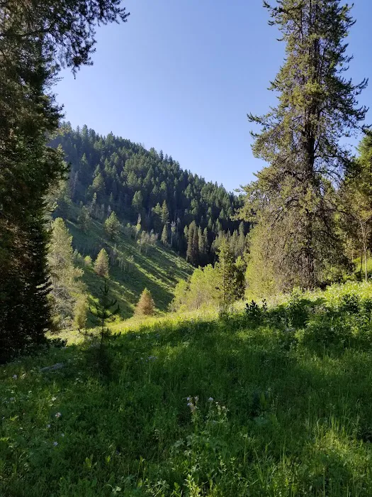 Pine Bar Campground Picture 10