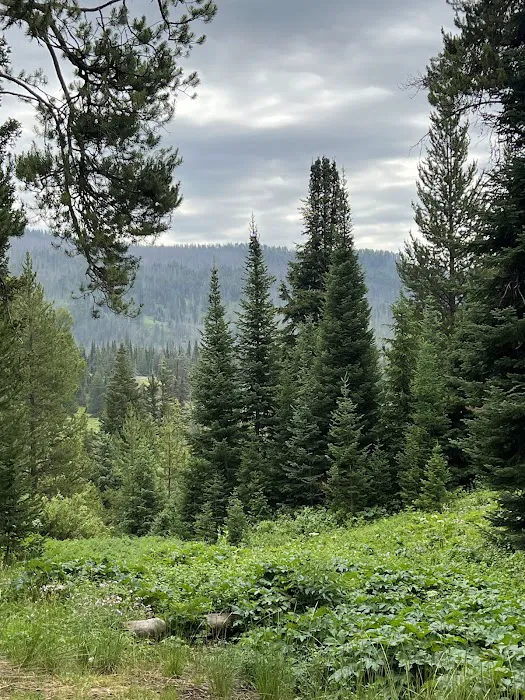 Granite Creek Campground Picture 2