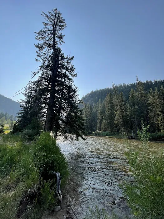 Hoback Campground Picture 6