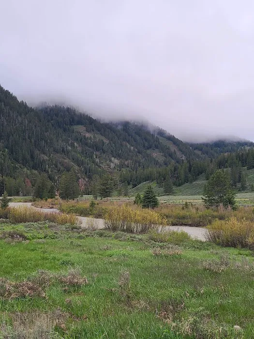 Kozy Campground Picture 2