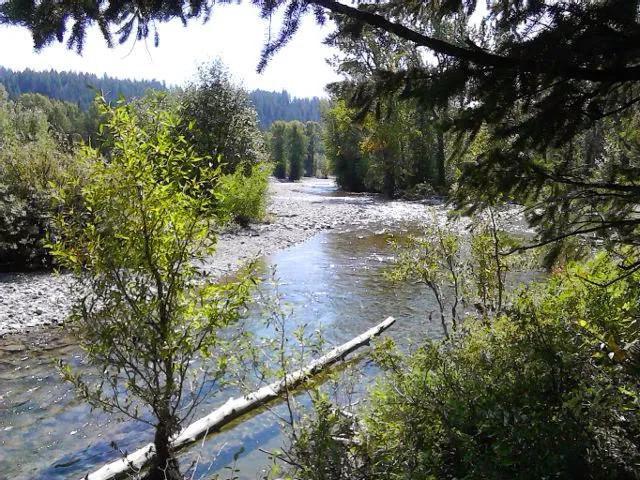 Kozy Campground Picture 9