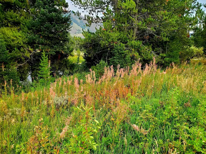 Kozy Campground Picture 10