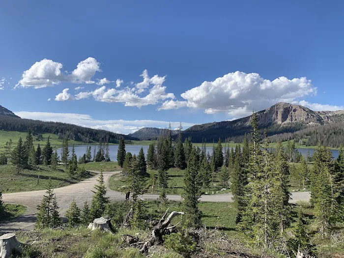 Brooks Lake Campground Picture 7