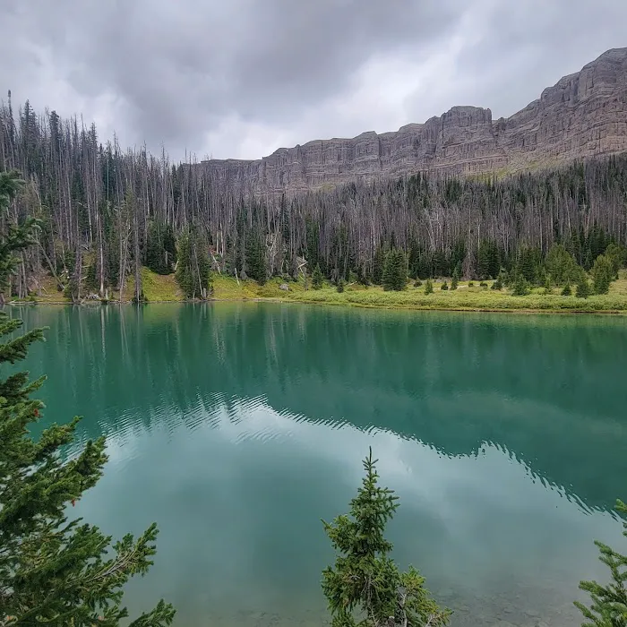 Brooks Lake Campground Picture 4