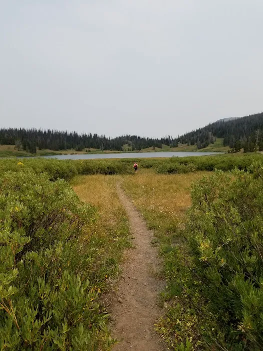 Pinnacles Campground Picture 5